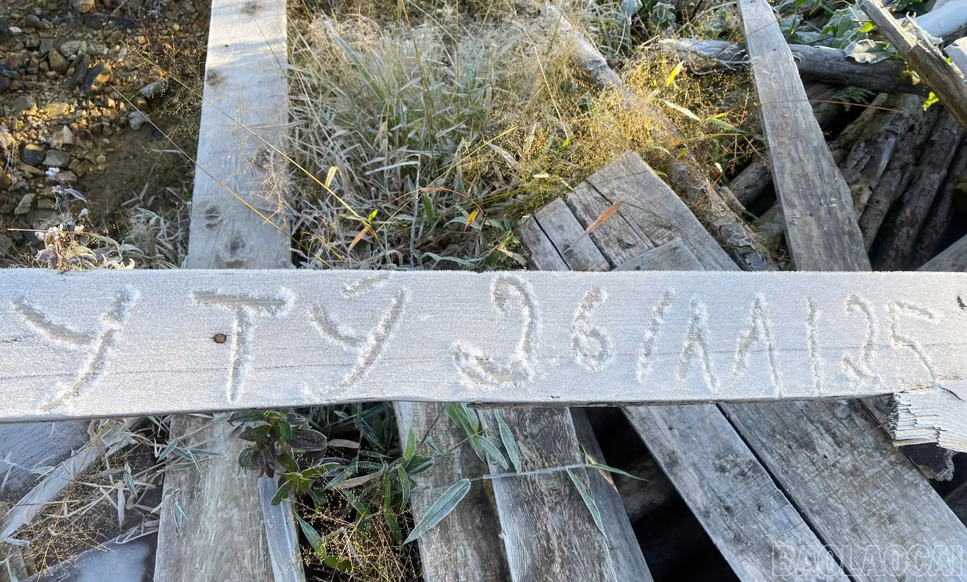 Đài PTTH Hà Nội